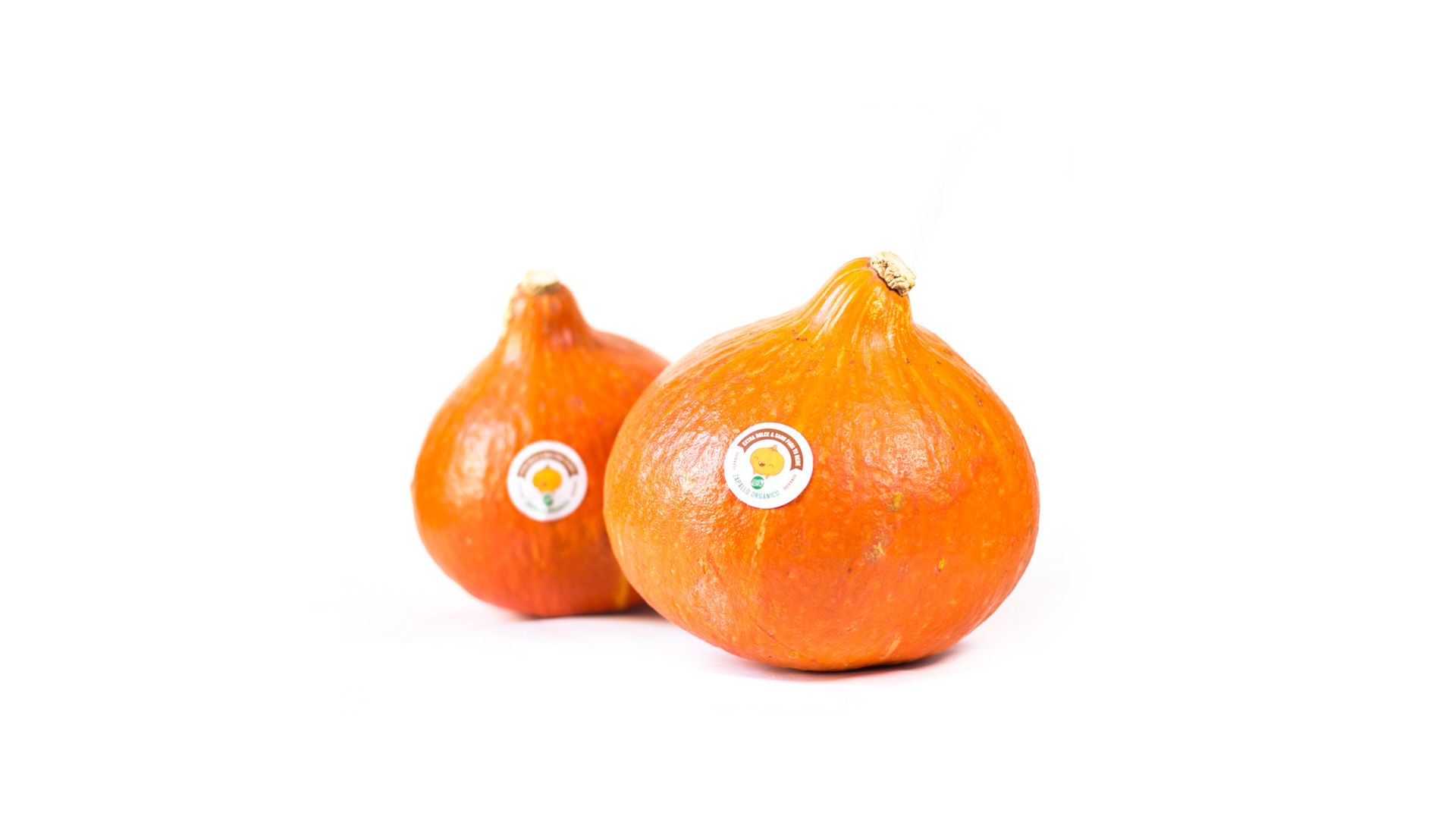 Zapallo Red Hokkaido